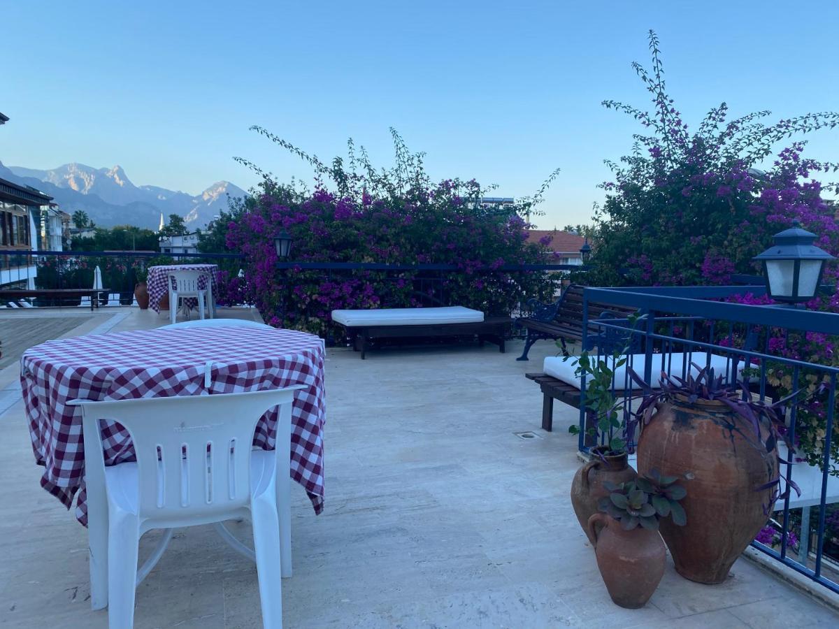 Naturella Aparthotel 2*
